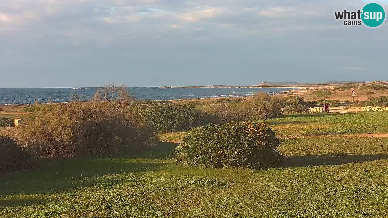 Spiaggia Mari Ermi | Is Arutas – Oristano