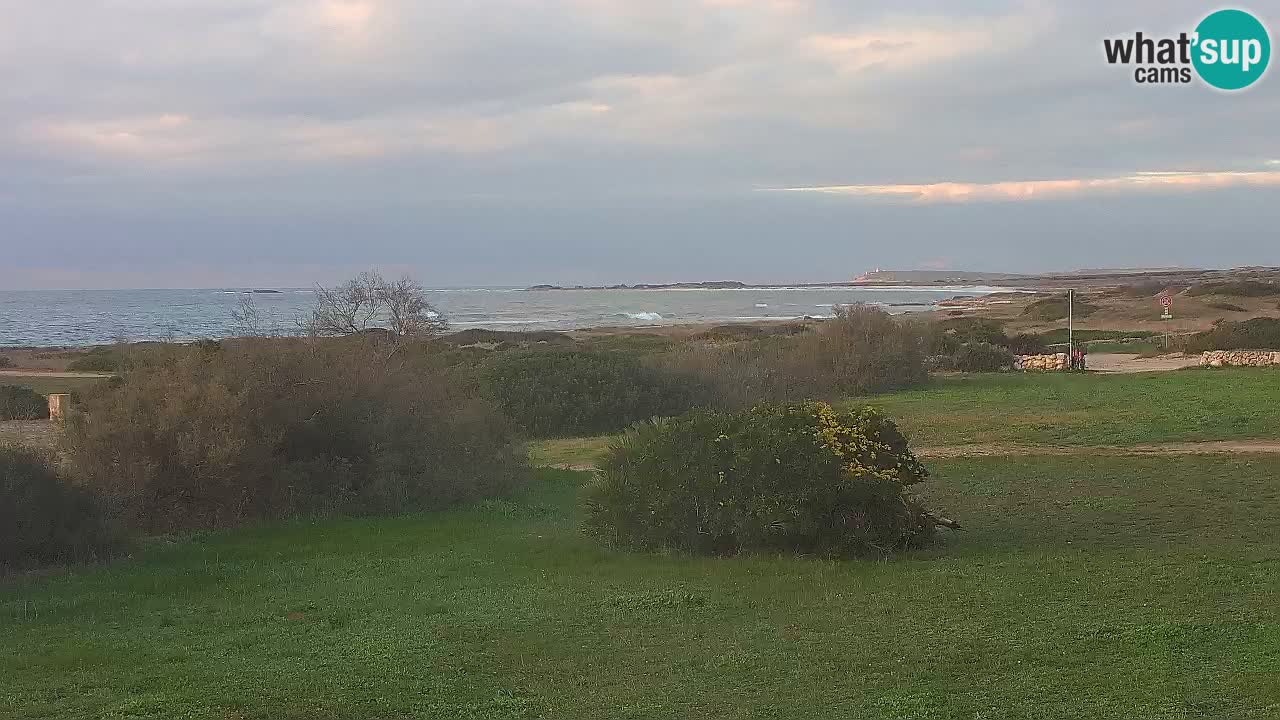 Spiaggia Mari Ermi | Is Arutas – Oristano
