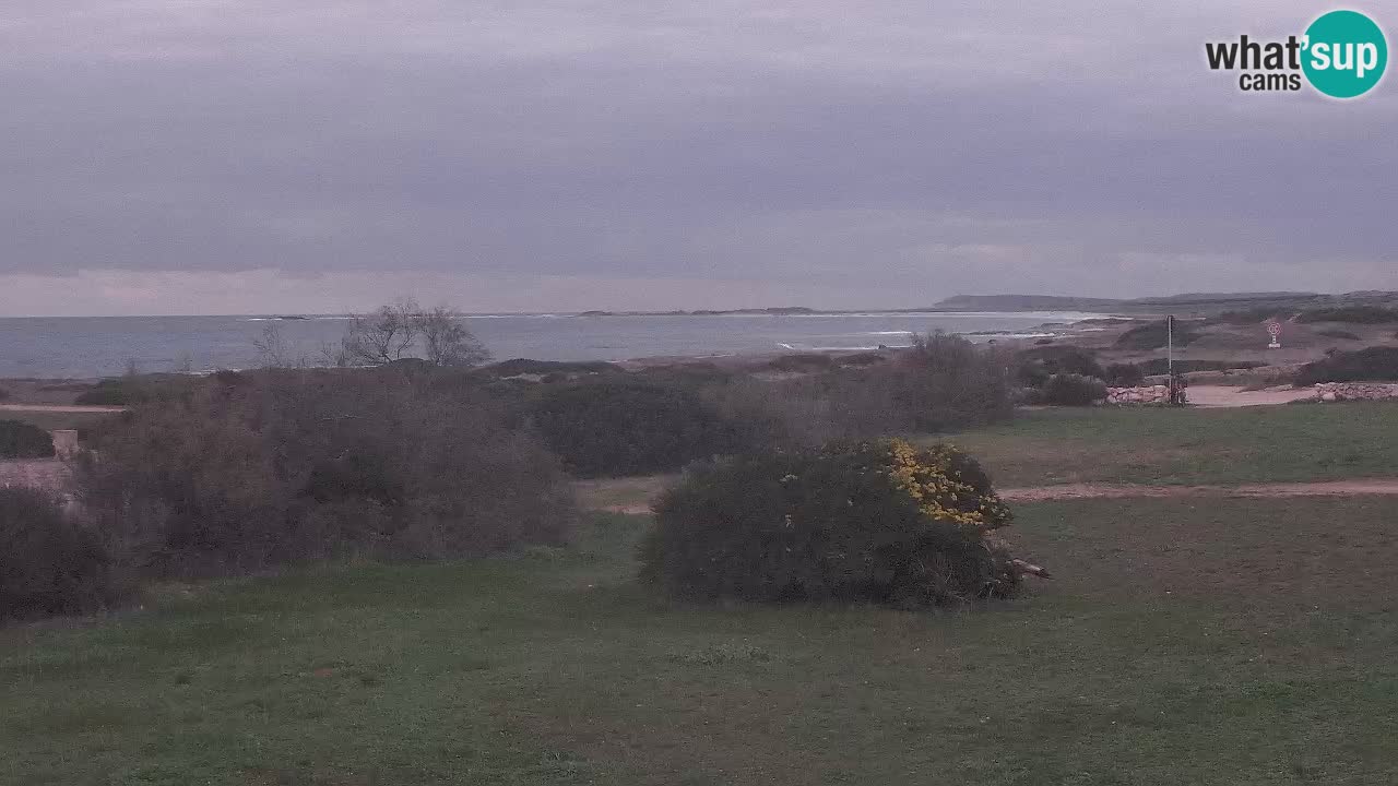Spiaggia Mari Ermi | Is Arutas – Oristano