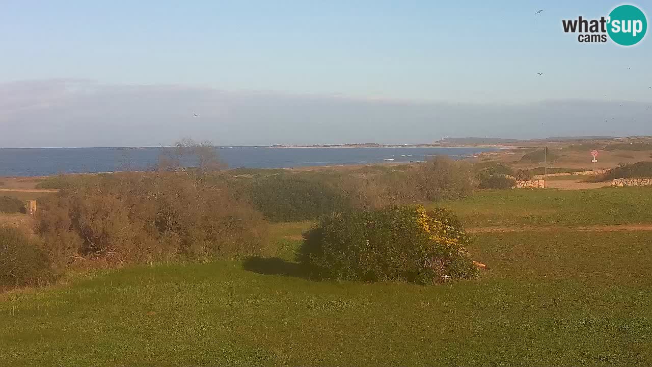 Spiaggia Mari Ermi | Is Arutas – Oristano