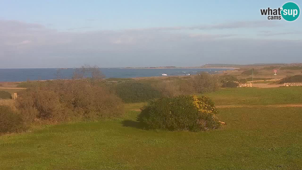 Plage Mari Ermi | Is Arutas – Oristano