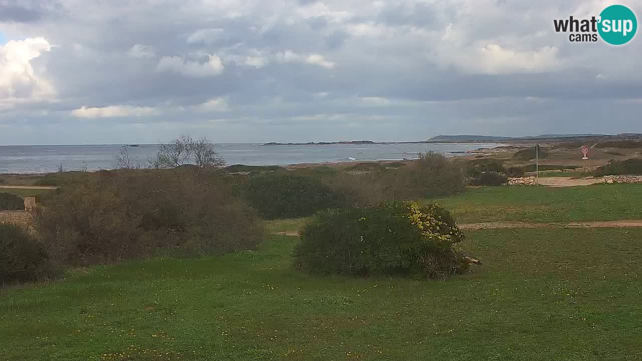 Playa Mari Ermi | Is Arutas – Oristano