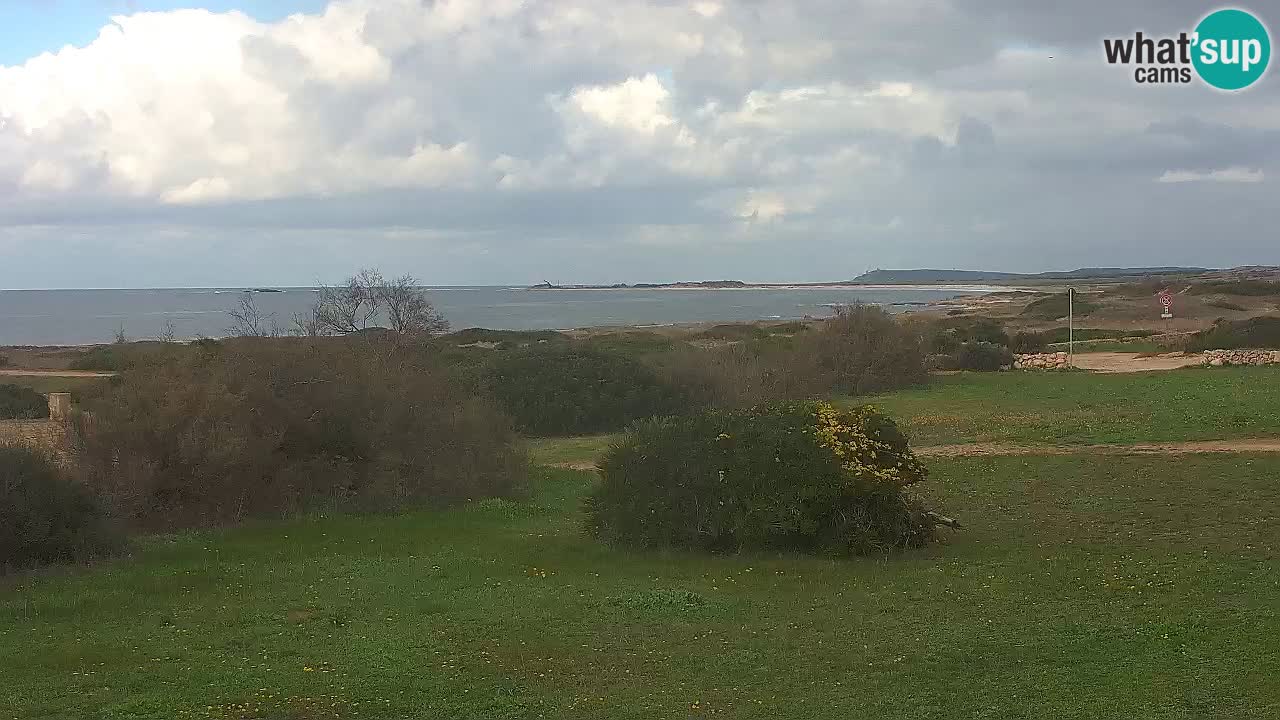 Mari Ermi beach | Is Arutas – Oristano