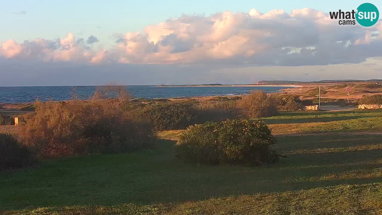 Plaža Mari Ermi | Is Arutas – Oristano