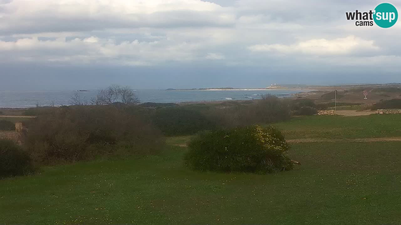 Playa Mari Ermi | Is Arutas – Oristano