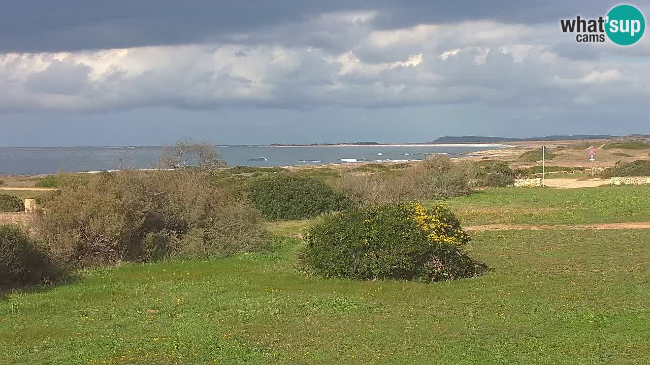 Mari Ermi beach | Is Arutas – Oristano