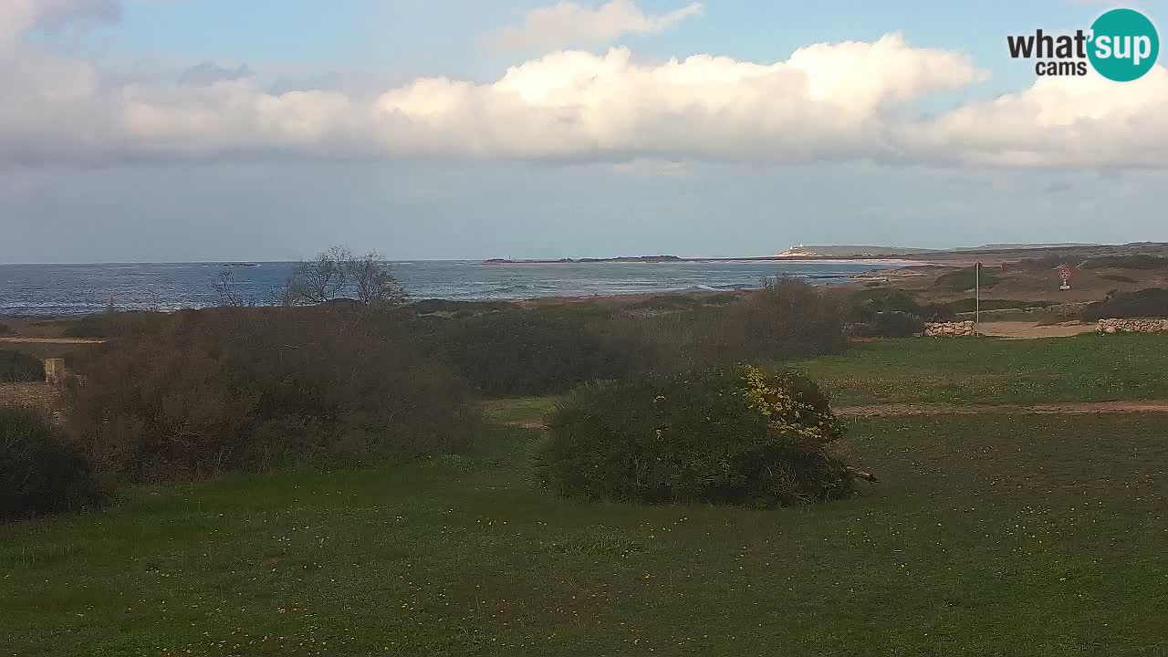 Mari Ermi beach | Is Arutas – Oristano