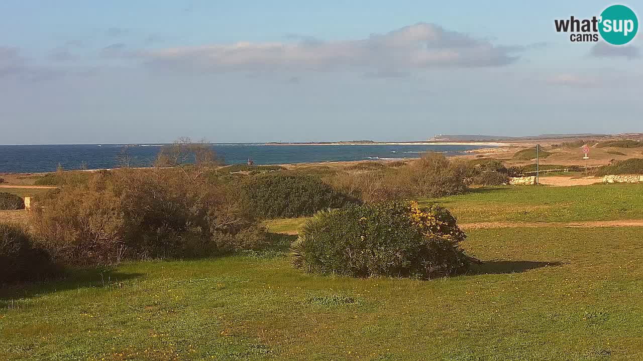 Mari Ermi beach | Is Arutas – Oristano