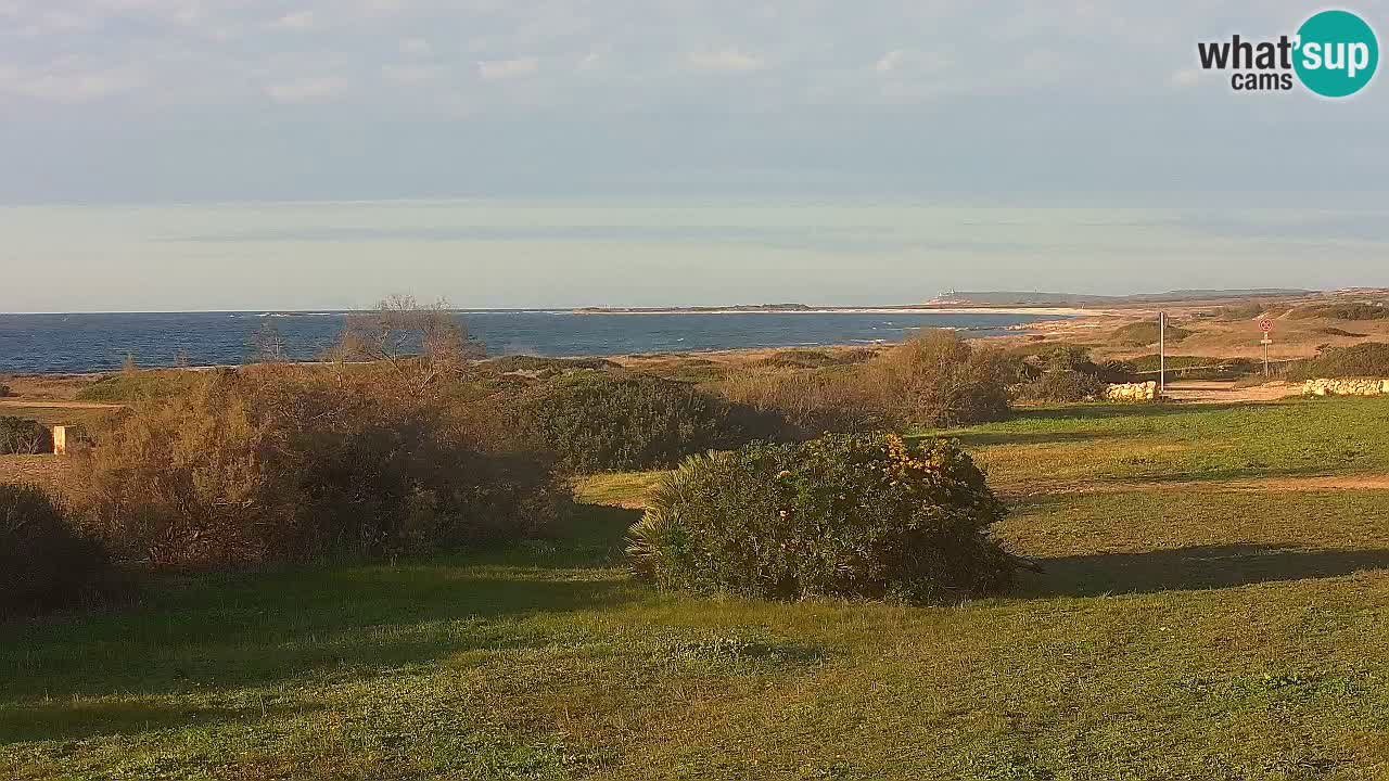 Plaža Mari Ermi | Is Arutas – Oristano