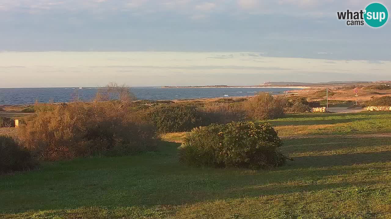 Mari Ermi Strand | Is Arutas – Oristano