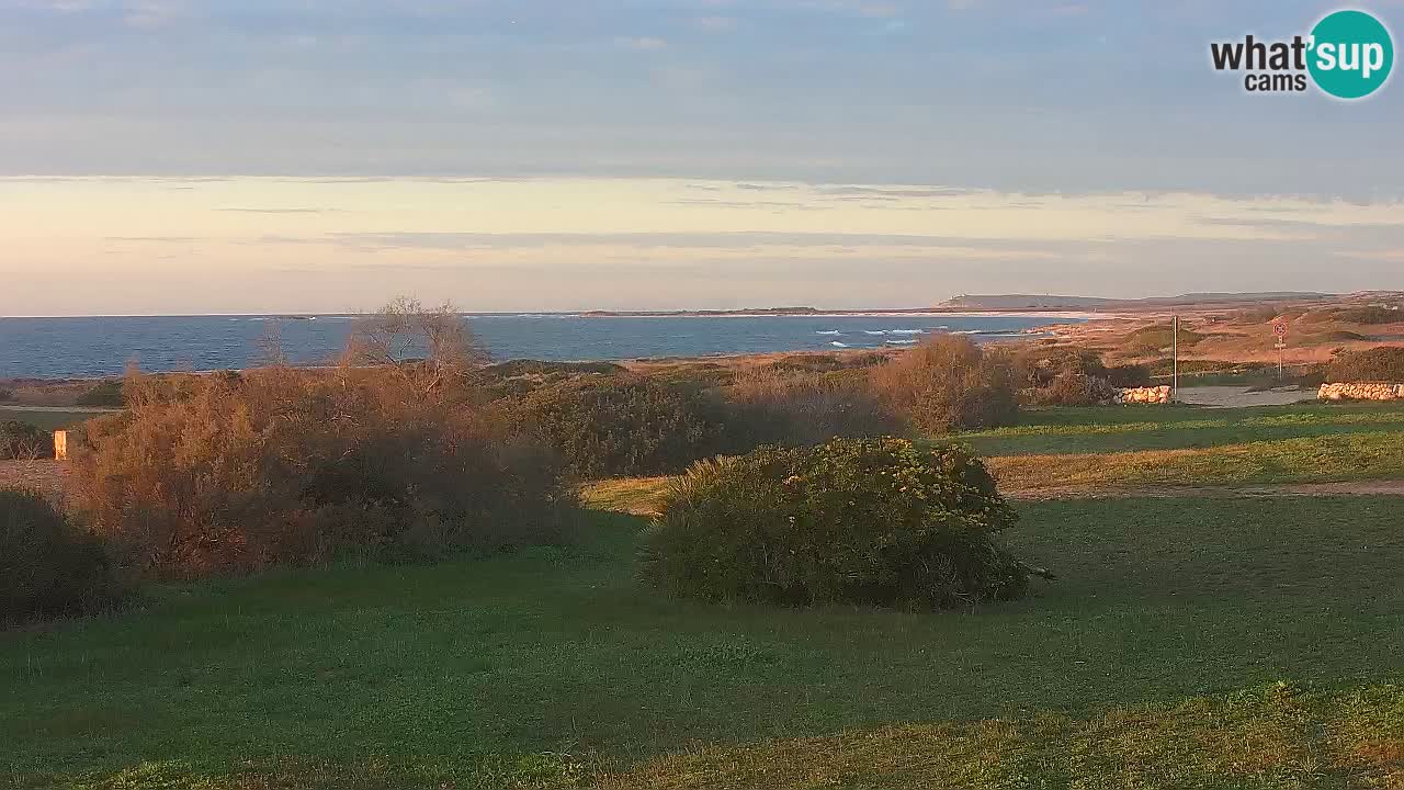 Plaža Mari Ermi | Is Arutas – Oristano