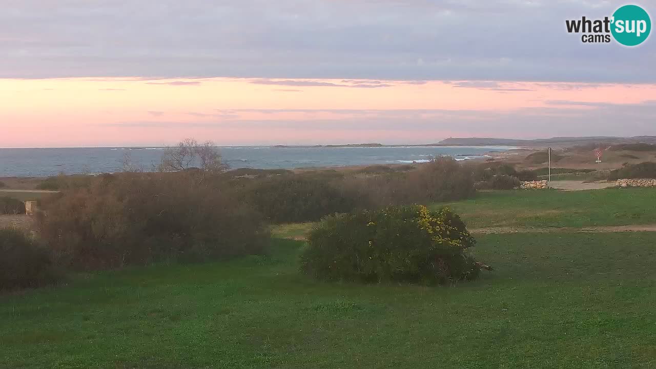 Mari Ermi Strand | Is Arutas – Oristano