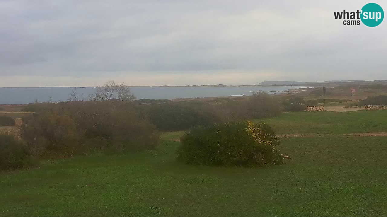 Mari Ermi Strand | Is Arutas – Oristano