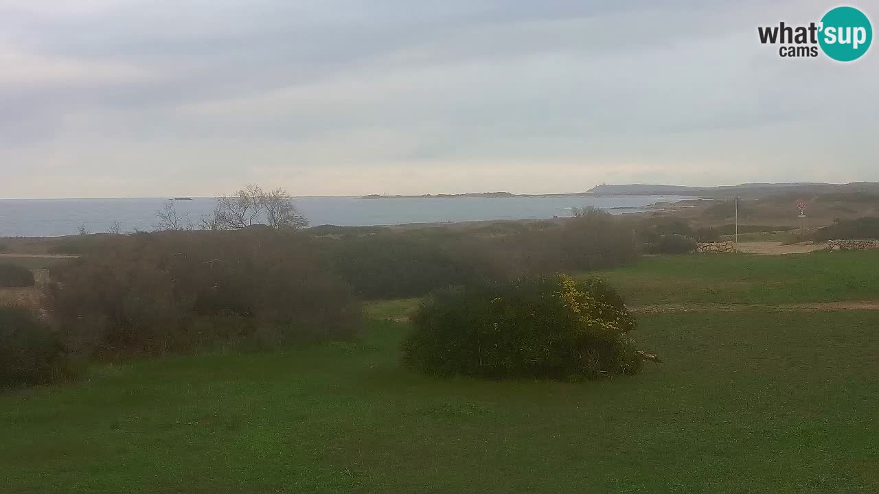 Mari Ermi Strand | Is Arutas – Oristano