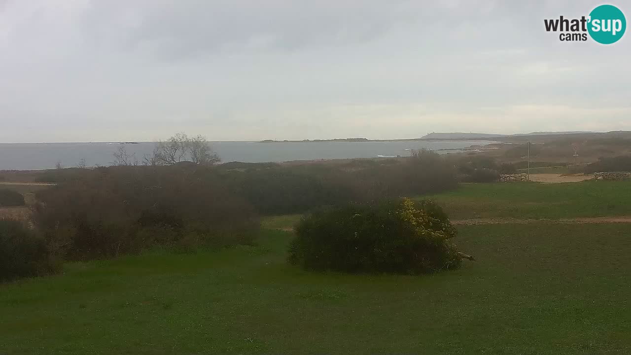 Spiaggia Mari Ermi | Is Arutas – Oristano