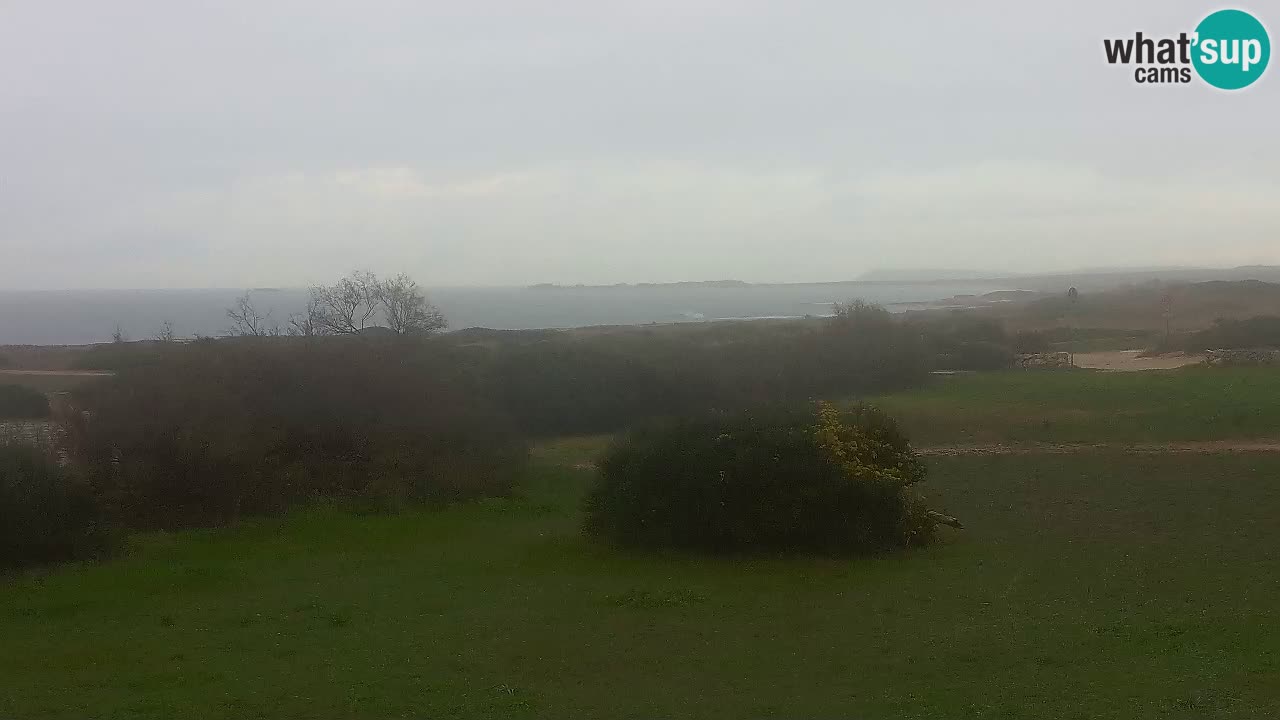 Plage Mari Ermi | Is Arutas – Oristano