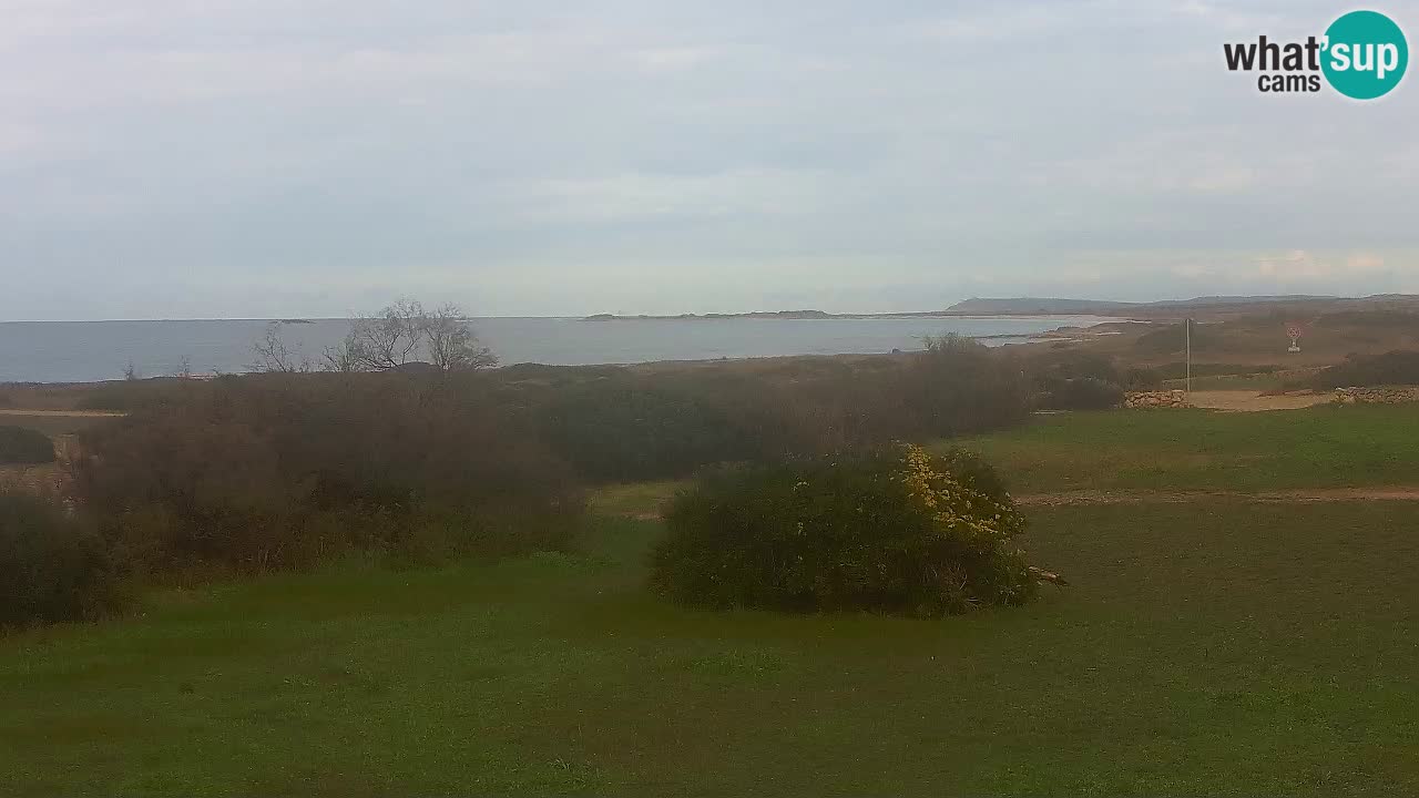 Plage Mari Ermi | Is Arutas – Oristano