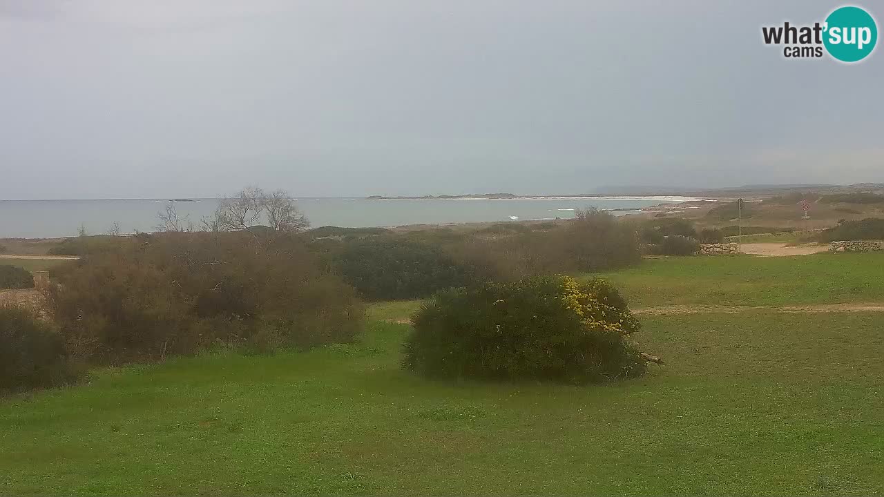 Plaža Mari Ermi | Is Arutas – Oristano