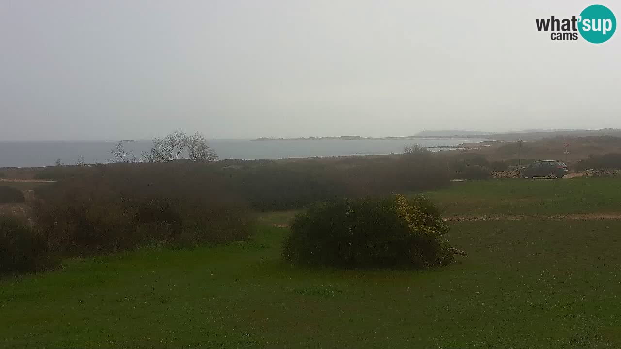 Mari Ermi Strand | Is Arutas – Oristano