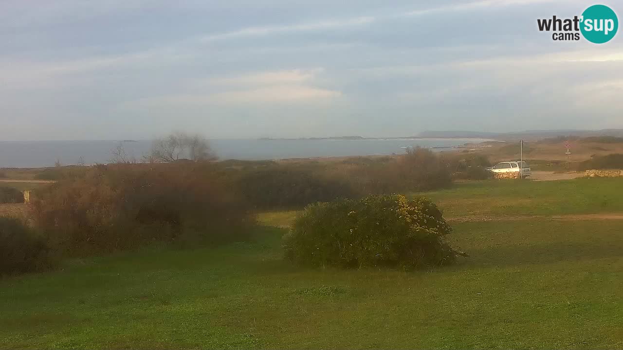 Spiaggia Mari Ermi | Is Arutas – Oristano