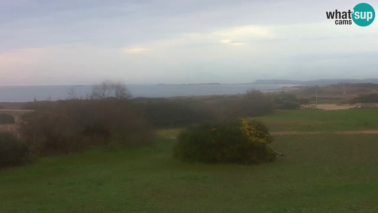 Mari Ermi Strand | Is Arutas – Oristano