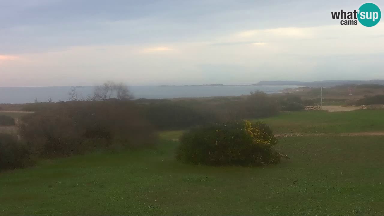 Plaža Mari Ermi | Is Arutas – Oristano