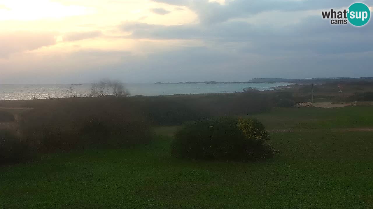 Mari Ermi Strand | Is Arutas – Oristano