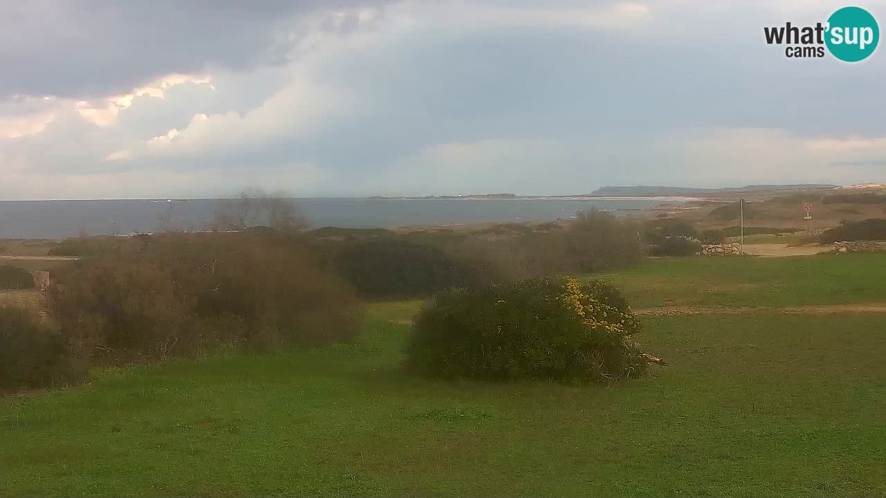 Mari Ermi Strand | Is Arutas – Oristano