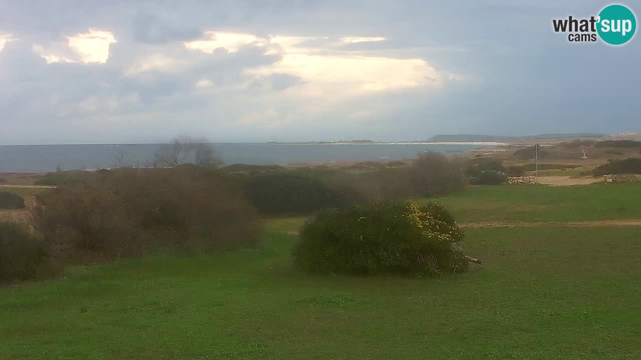 Playa Mari Ermi | Is Arutas – Oristano