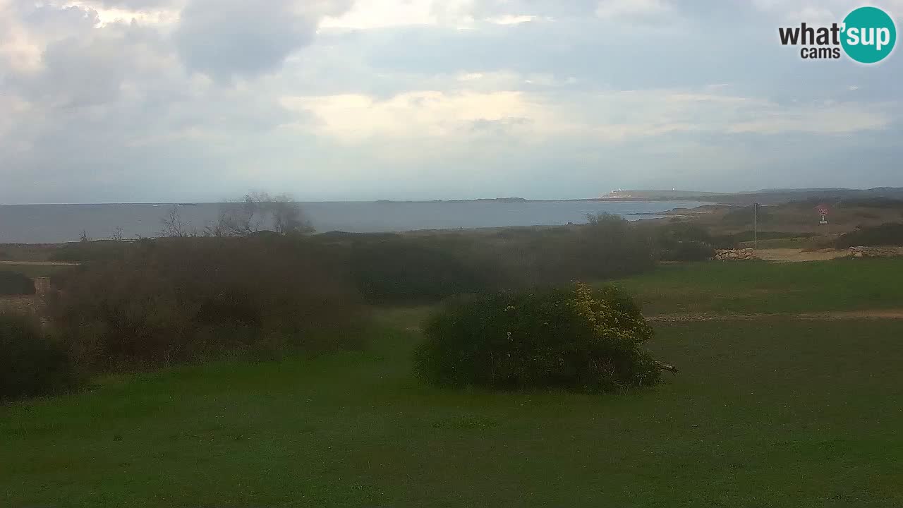 Plaža Mari Ermi | Is Arutas – Oristano