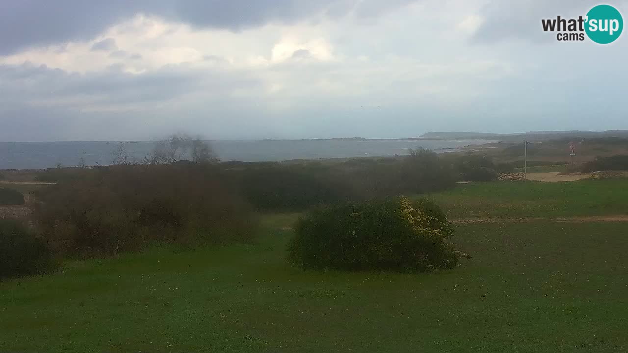 Spiaggia Mari Ermi | Is Arutas – Oristano