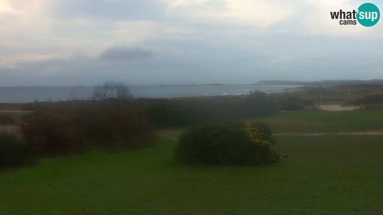 Mari Ermi Strand | Is Arutas – Oristano