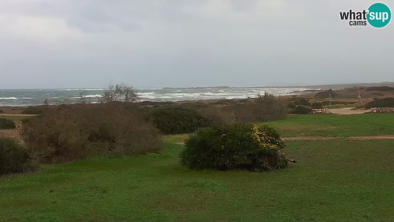 Plaža Mari Ermi | Is Arutas – Oristano