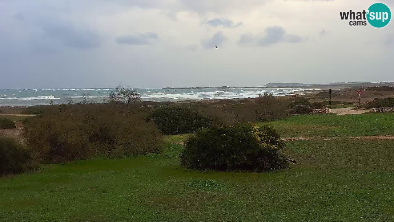 Mari Ermi Strand | Is Arutas – Oristano