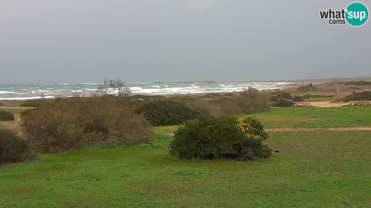 Mari Ermi Strand | Is Arutas – Oristano