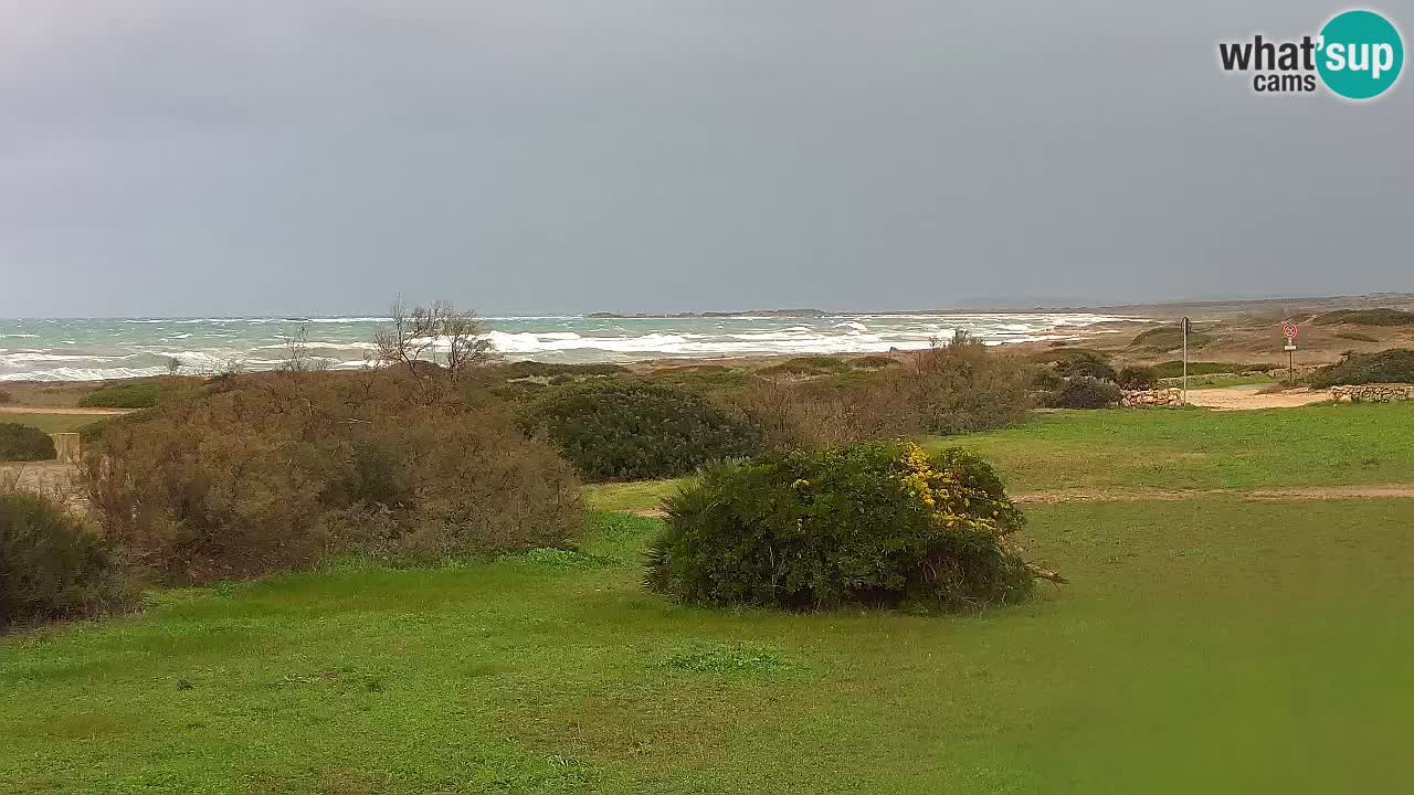 Spiaggia Mari Ermi | Is Arutas – Oristano