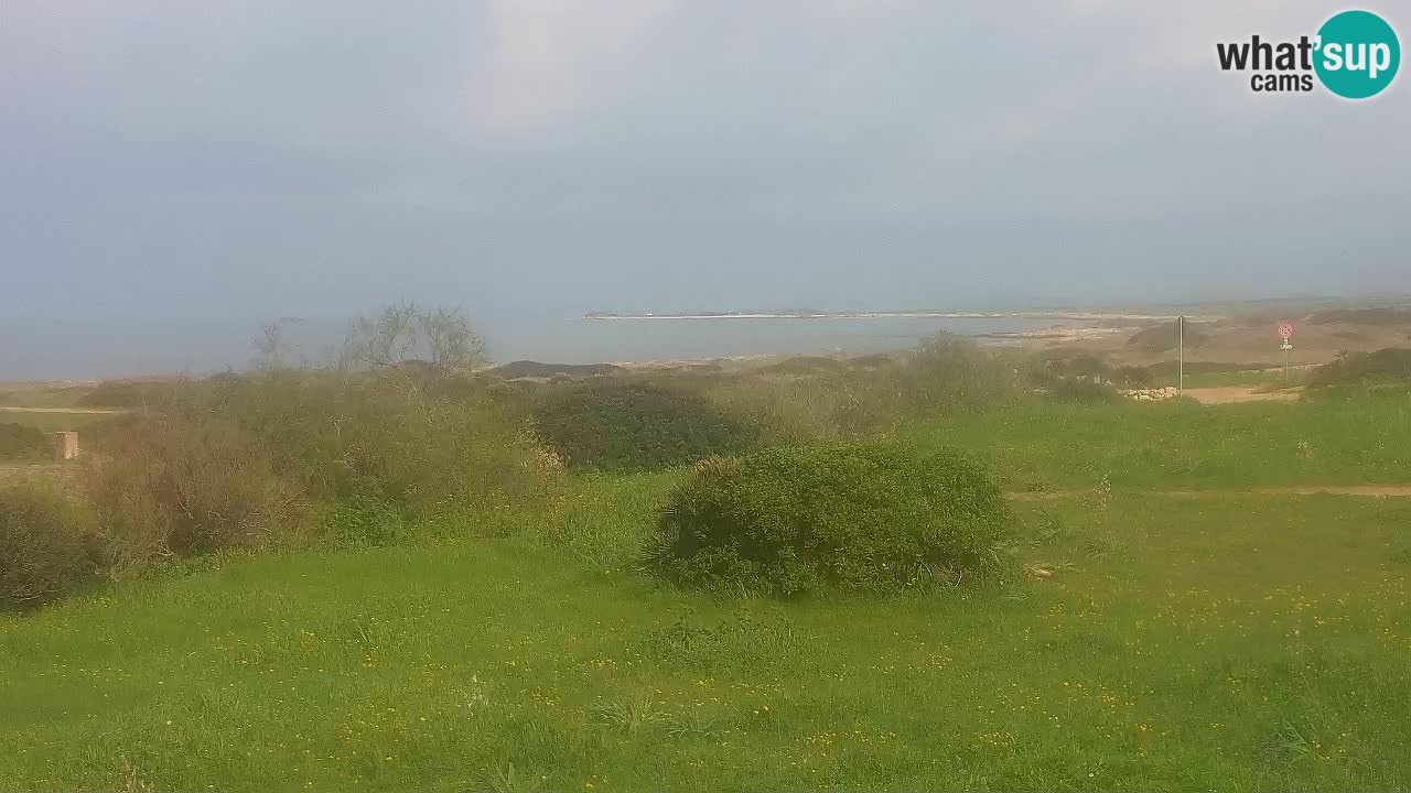 Mari Ermi beach | Is Arutas – Oristano