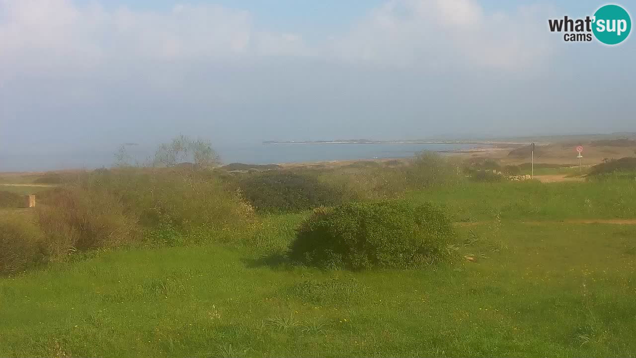 Plaža Mari Ermi | Is Arutas – Oristano