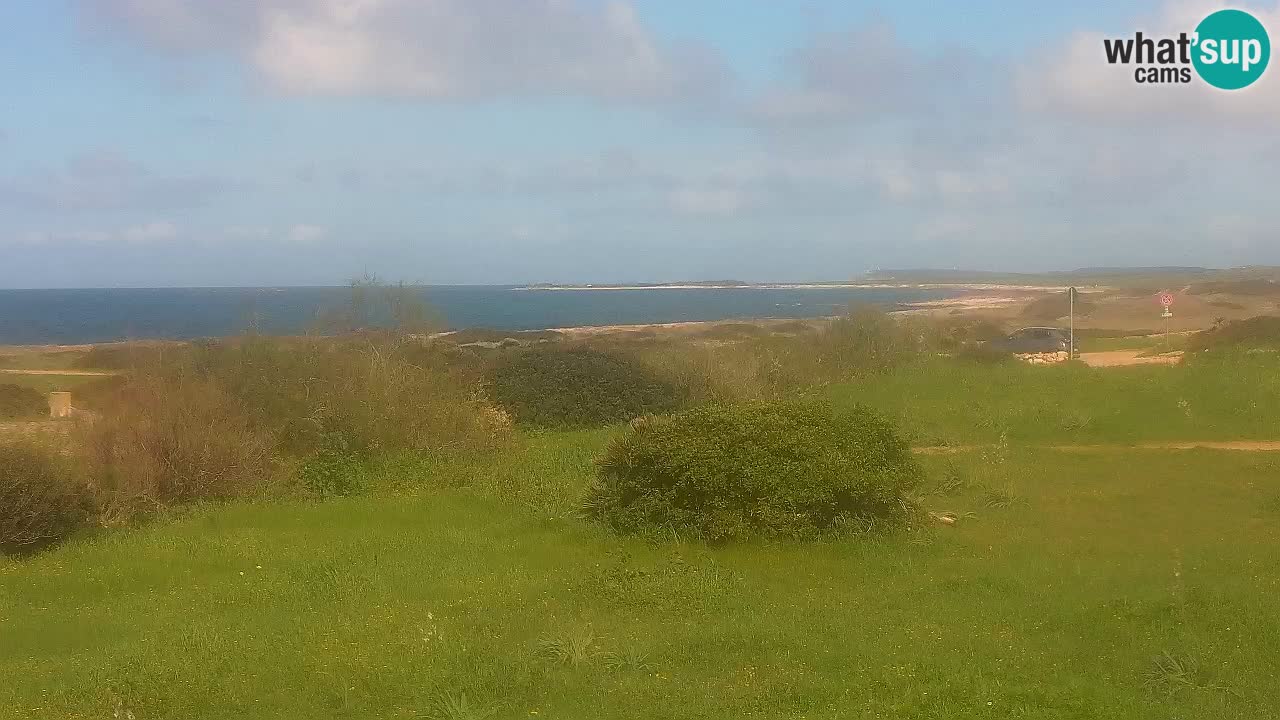 Plaža Mari Ermi | Is Arutas – Oristano