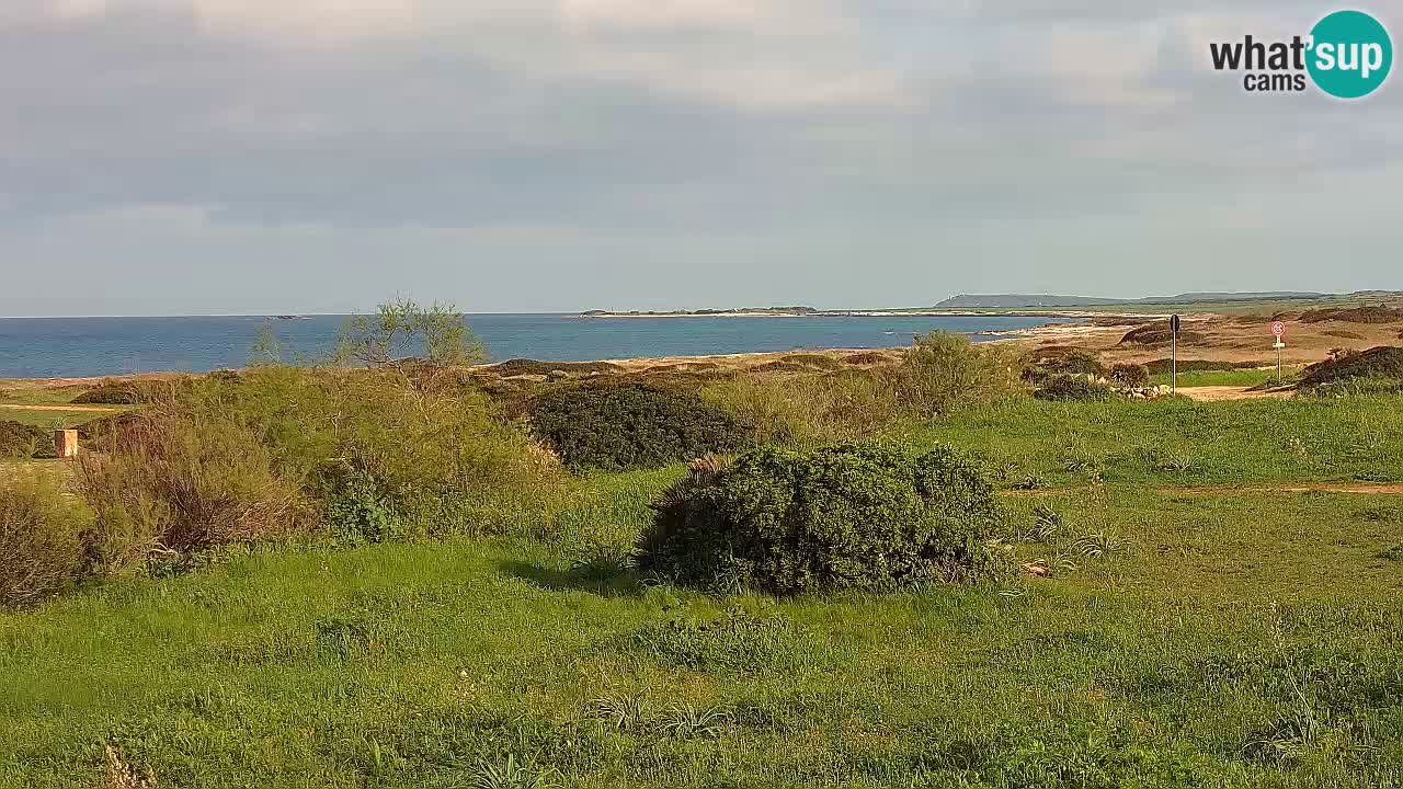 Mari Ermi beach | Is Arutas – Oristano