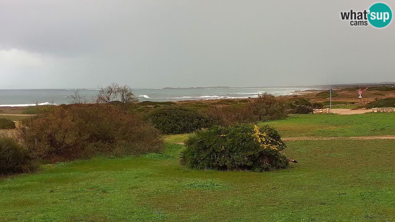 Plaža Mari Ermi | Is Arutas – Oristano