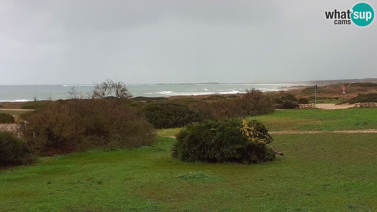 Plage Mari Ermi | Is Arutas – Oristano