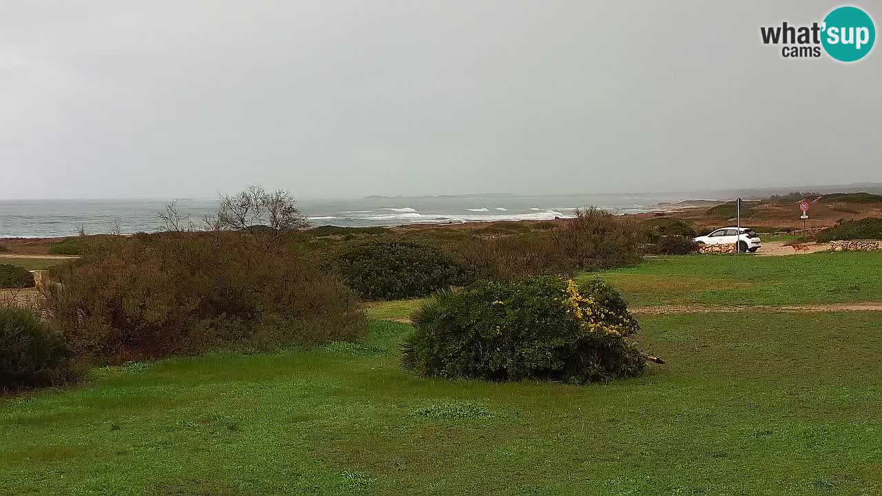 Playa Mari Ermi | Is Arutas – Oristano