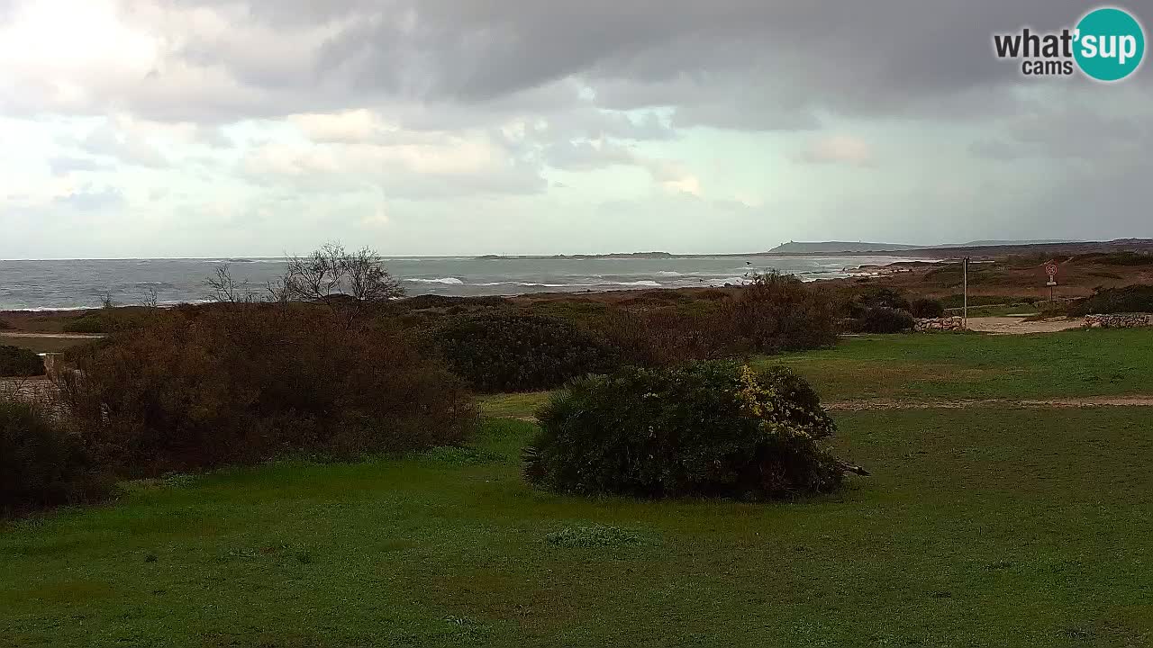 Mari Ermi Strand | Is Arutas – Oristano