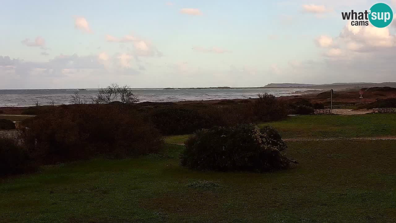 Mari Ermi Strand | Is Arutas – Oristano