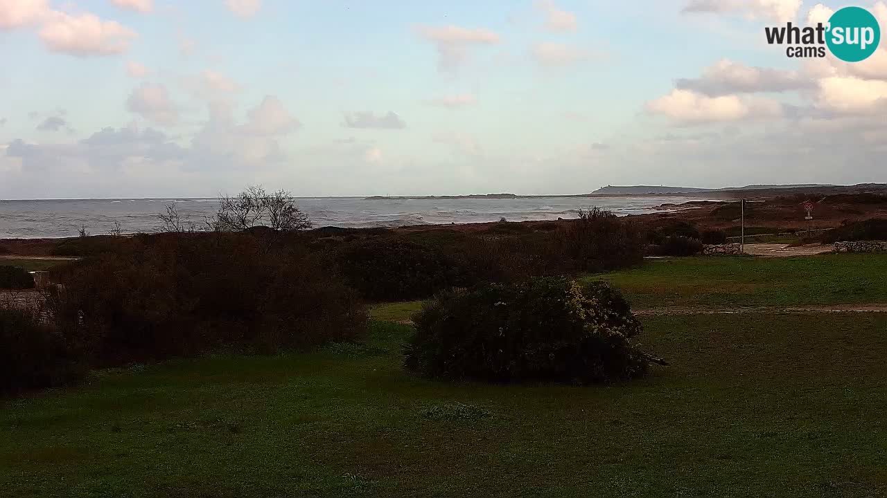 Playa Mari Ermi | Is Arutas – Oristano