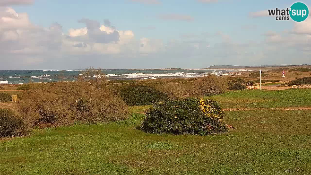 Mari Ermi beach | Is Arutas – Oristano