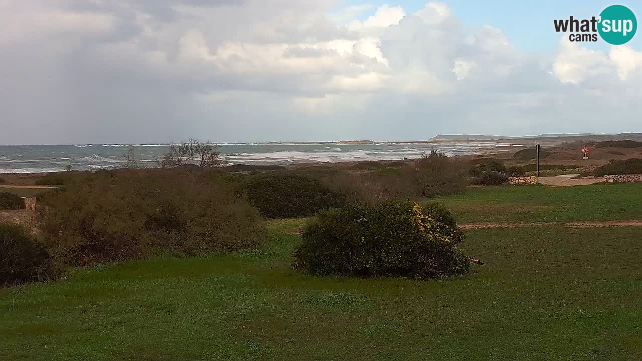 Plage Mari Ermi | Is Arutas – Oristano