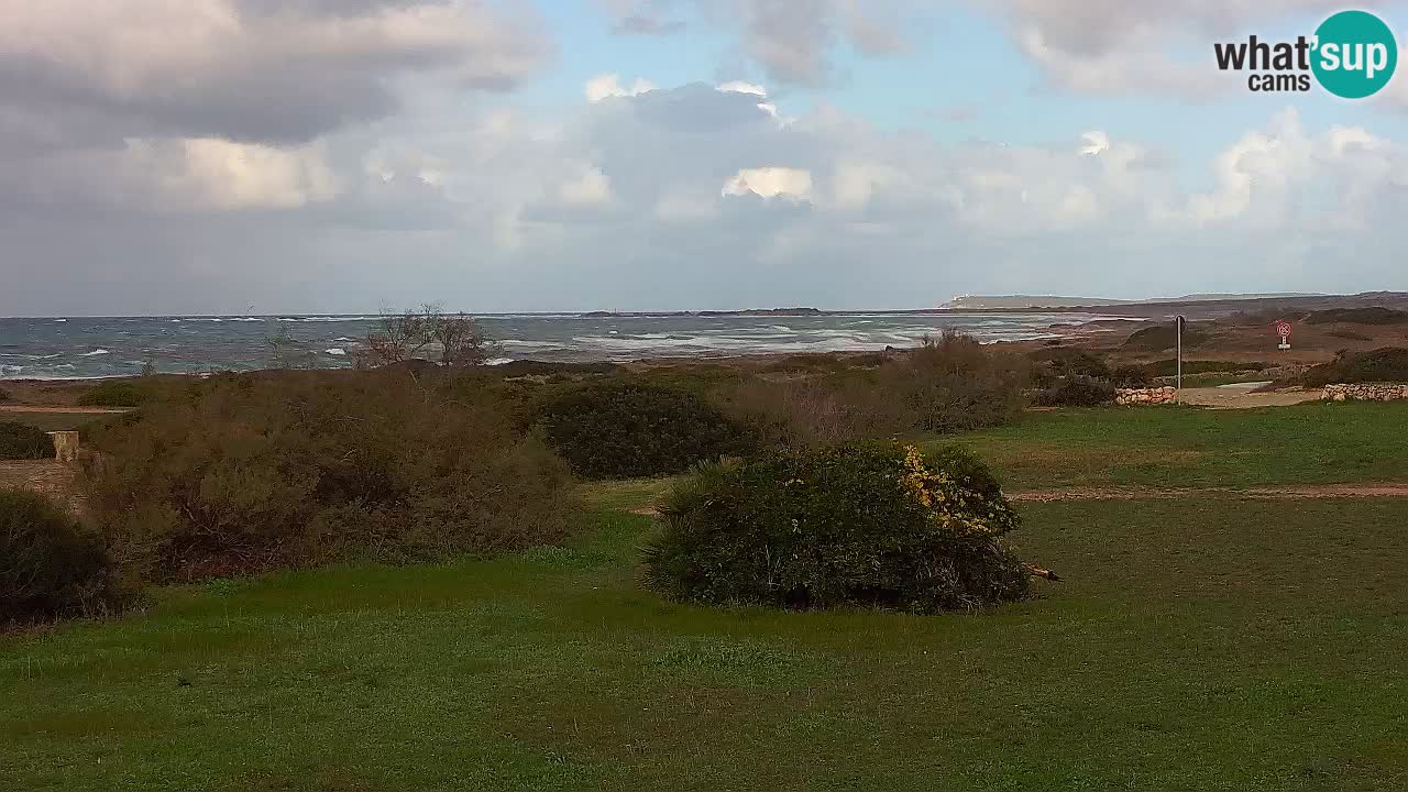 Mari Ermi beach | Is Arutas – Oristano