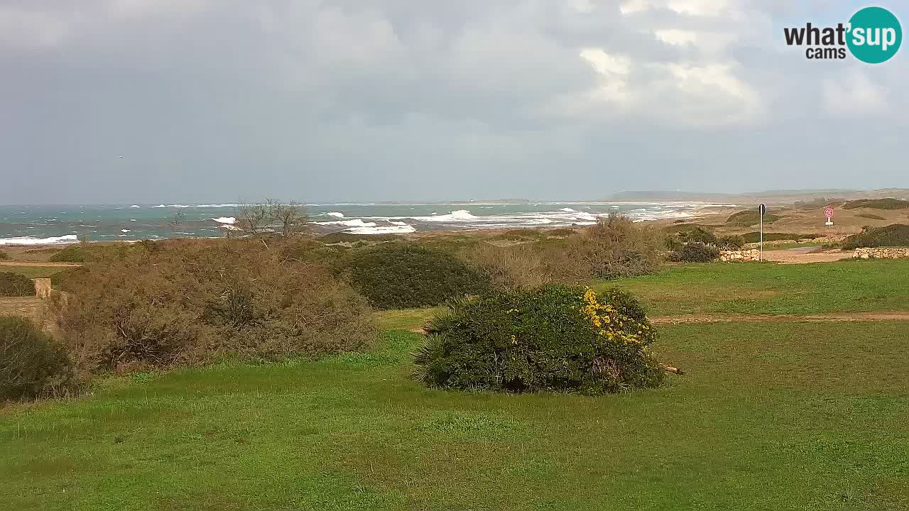 Playa Mari Ermi | Is Arutas – Oristano